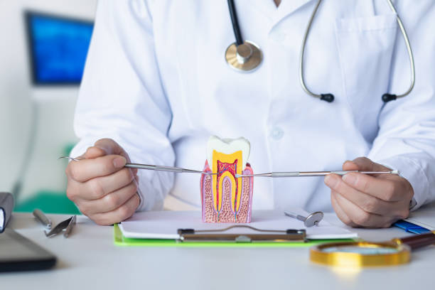Best Emergency Dental Extractions in Palmer, TX